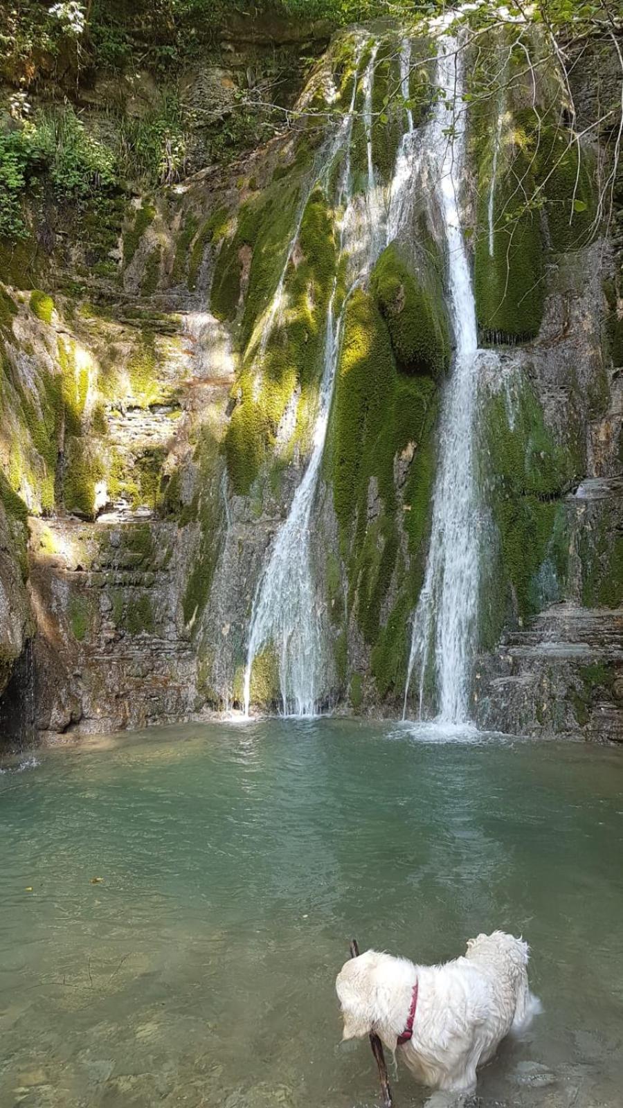 Alloggio Petrigh Canal di Grivo Экстерьер фото
